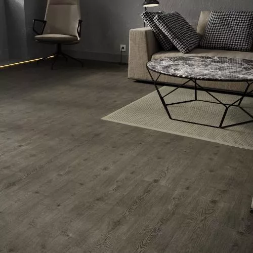 ARM HV 92 Ясень Бойсмана