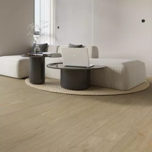 Asf 50-03 Дуб Веста