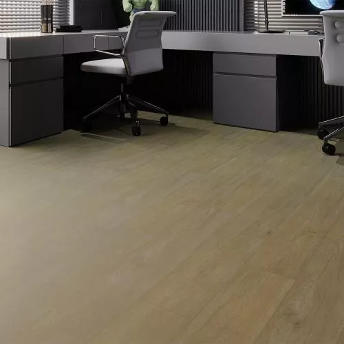 Asf 50-06 Дуб Авентин