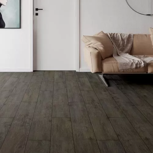 Art 41 Дуб Авачинский