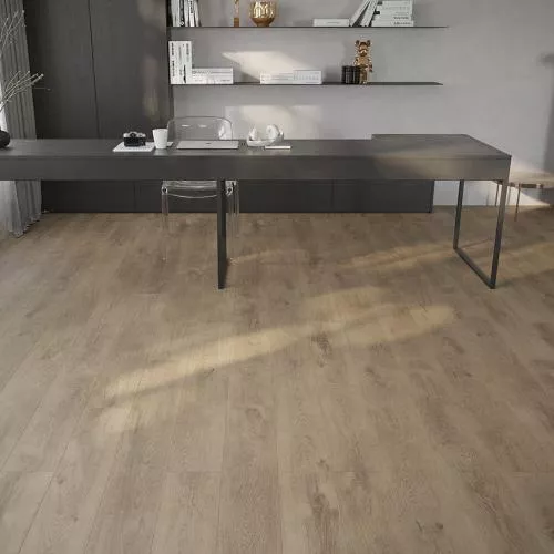 104 ASP Дуб Бристоль