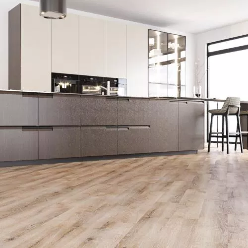 15 ASAF Дуб Шеридан