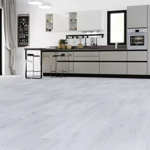 APTN 40-1 Ясень Норд