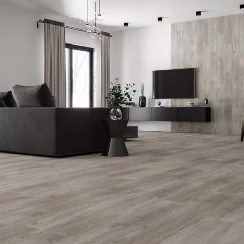 APTN 40-3 Дуб Анталийский