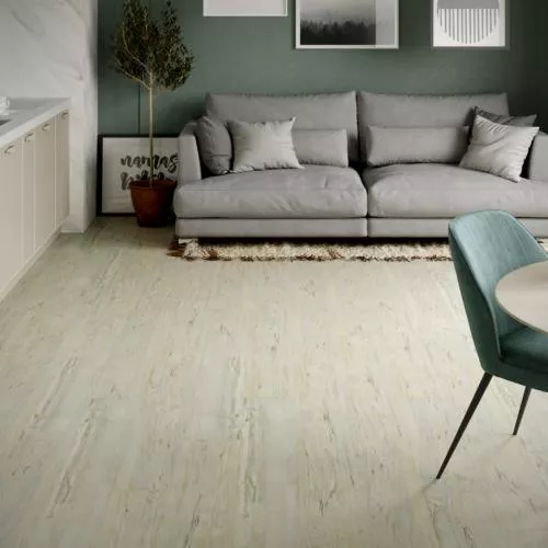 APTN 40-5 Акация Лазурная