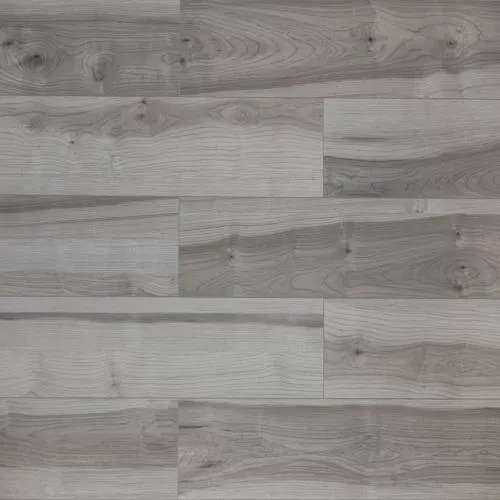 805 ASU Клён канадский Дерсу