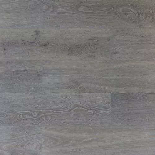 806 ASU Дуб Парис