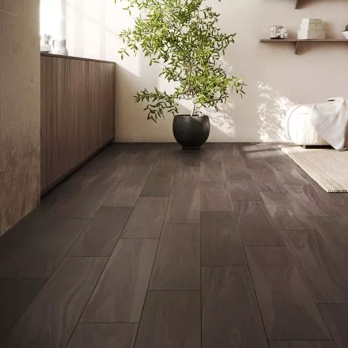 807 ASU Орех Манжурский