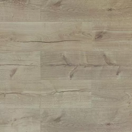 808 ASU Дуб Рюрик