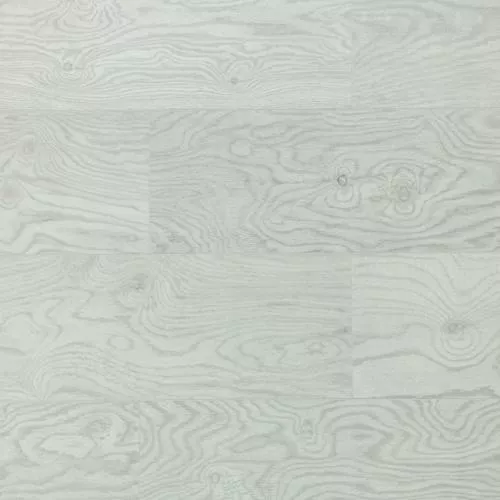 813 ASU Ясень Рица