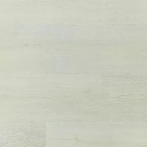 814 ASU Акация Восточная