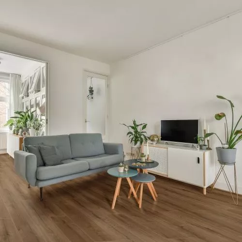 45-23 Дуб Бергамо