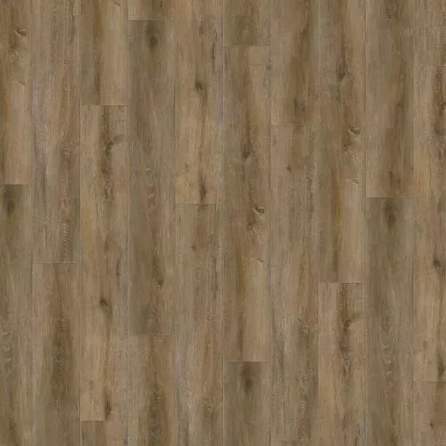 Mountain Brown