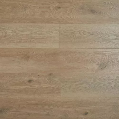 SH1703 Дуб Дерби