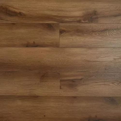 SH1705 Дуб Байнезия