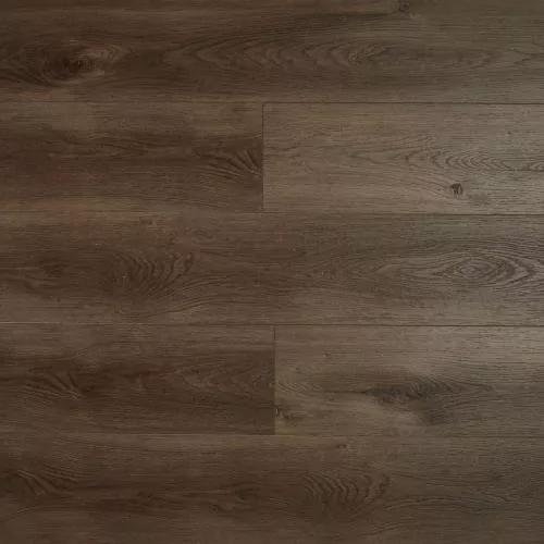 SH1706 Дуб Салсола