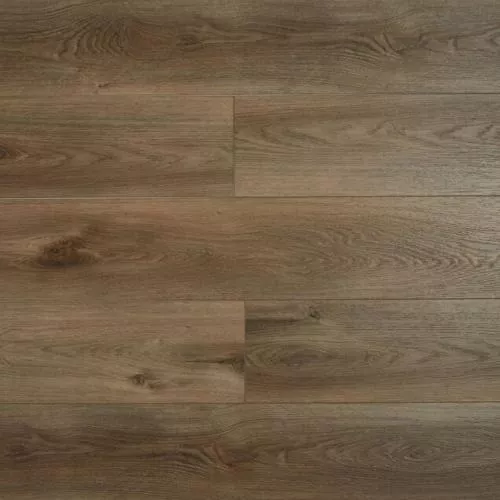 SH1707 Дуб Тродия