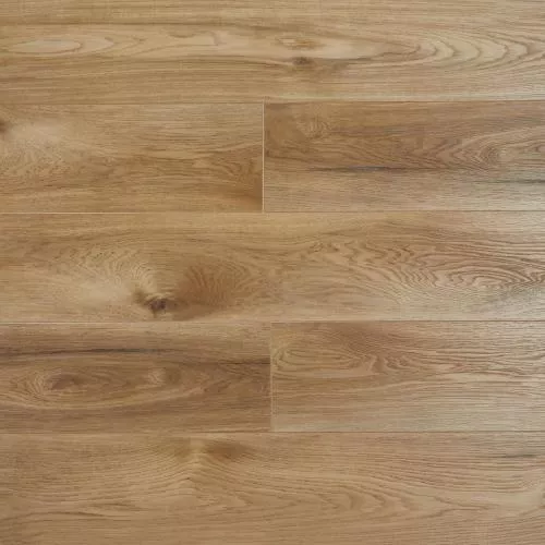 SH1708 Дуб Ксеро