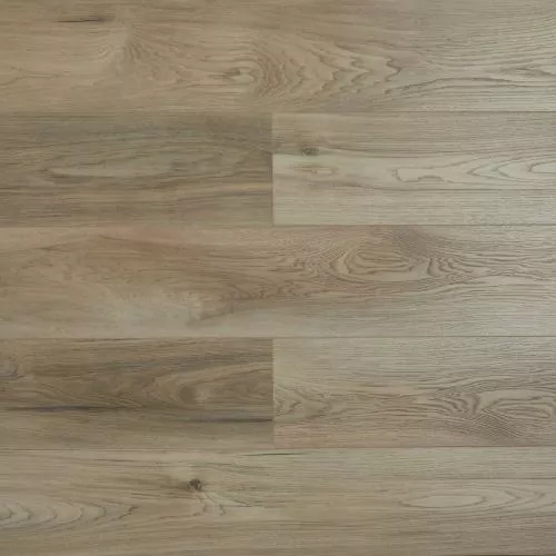 SH1709 Дуб Чин