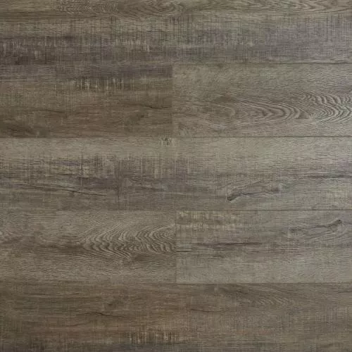 SH1710 Дуб Кора