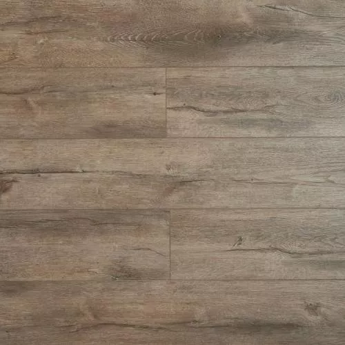 SH1704 Дуб Дей