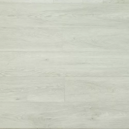 SU1202 Дуб Монти