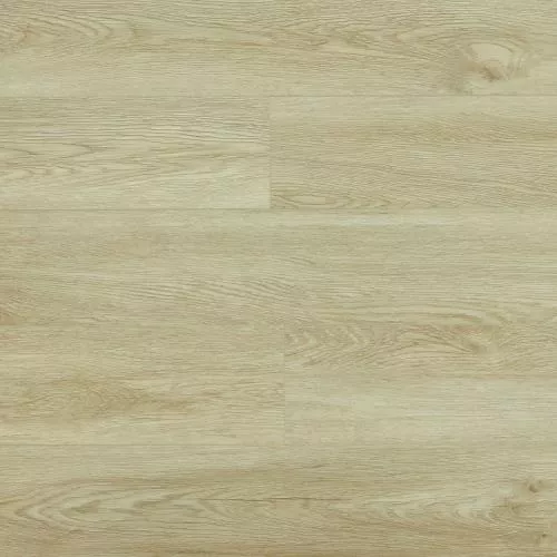 SU1204 Дуб Янака