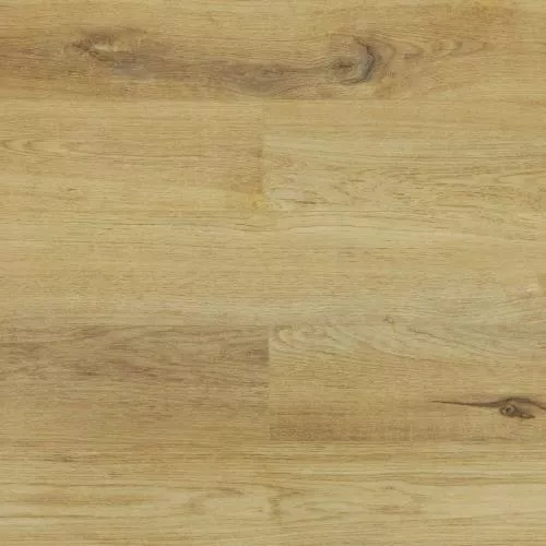 SU1205 Дуб Лит