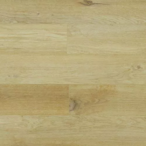 SU1206 Дуб Тангба