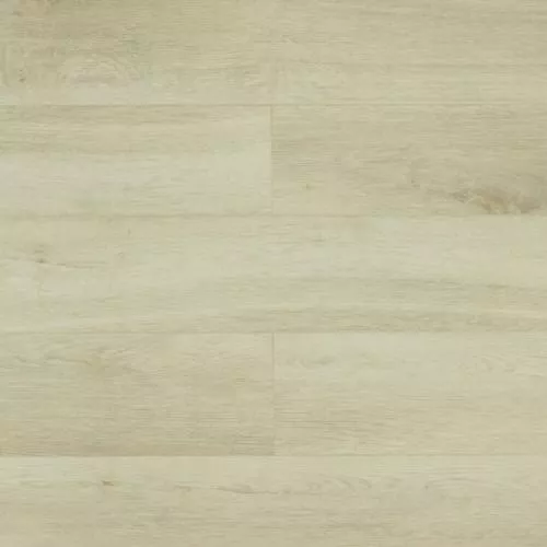 SU1207 Дуб Дафферин