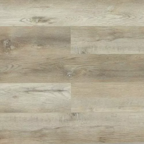 SU1208 Дуб Ботафого