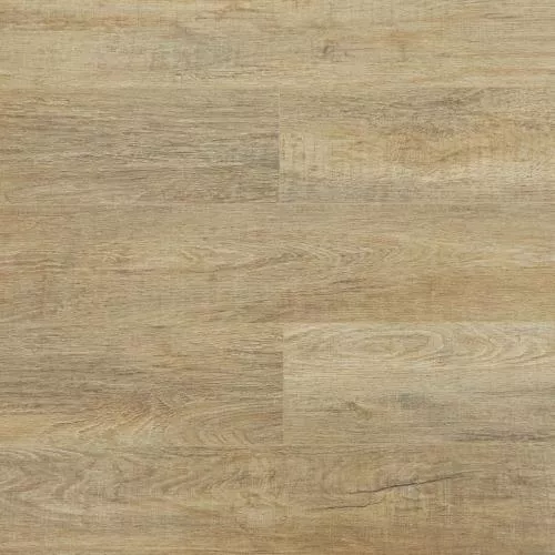 SU1209 Дуб Уинвуд