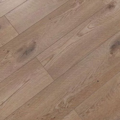 V110 Дуб Монца