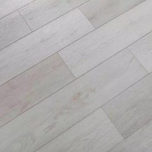 V113 Дуб Лаурия