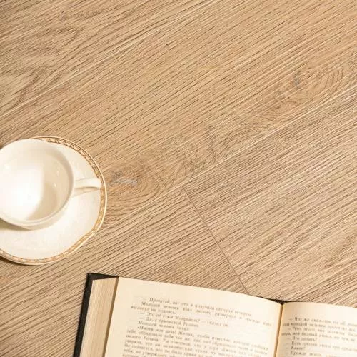  Дуб Стоктон