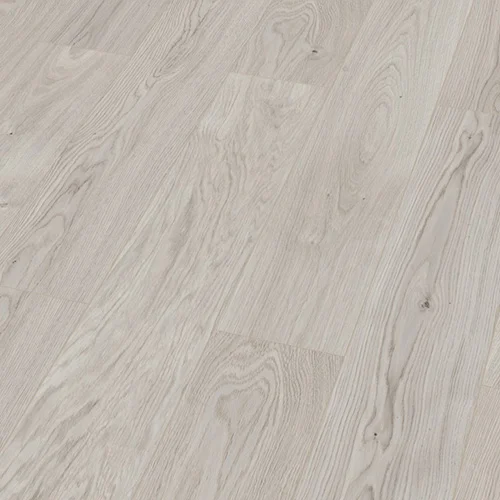 48333 Дуб Дымчатый