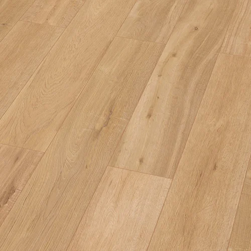 48337 Дуб Скальный