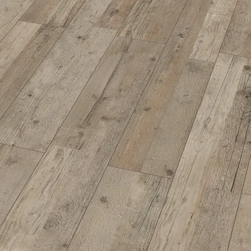 48340 Сосна Двухполосная