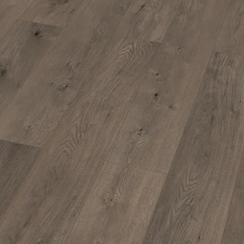 48341 Дуб Каменистый