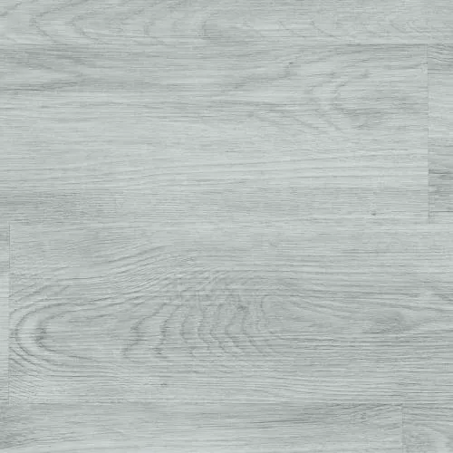 01 Дуб Берген