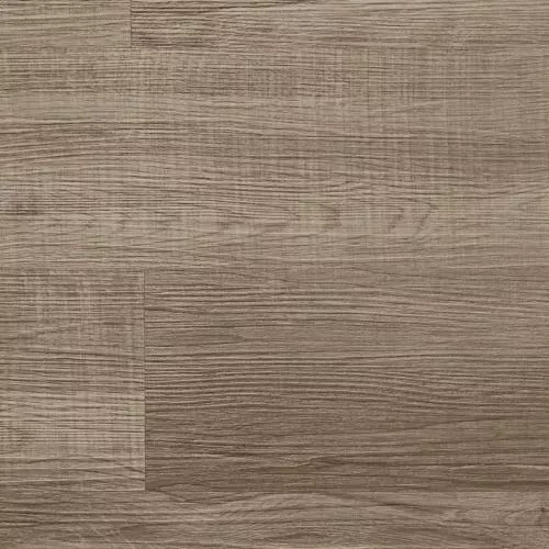 06 Дуб Кофейный