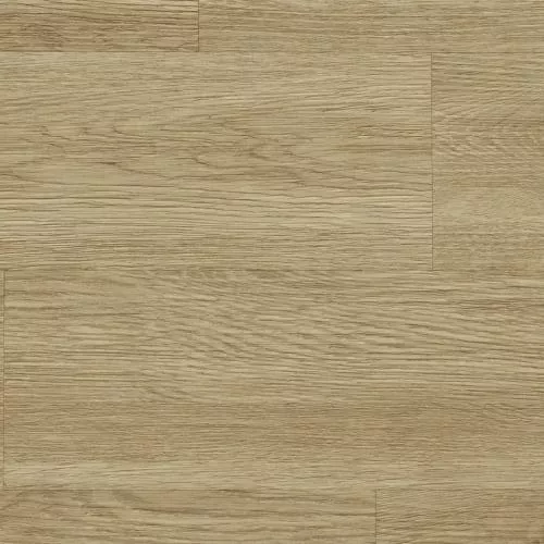 08 Дуб Танзай