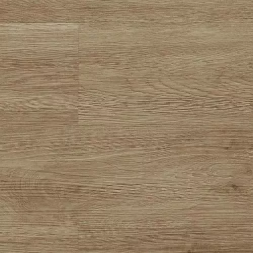 10 Дуб Арденский