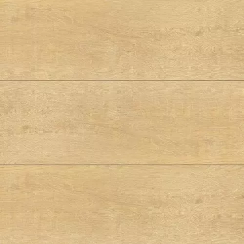 08 Сканди с подложкой