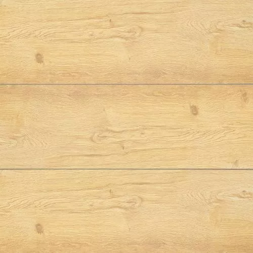 09 Дуб Орегон