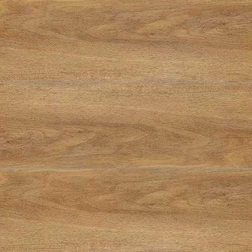 15 Дуб Мальме