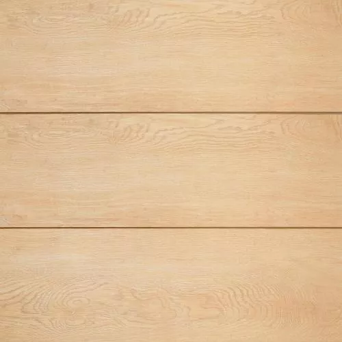 19 Дуб Шампань