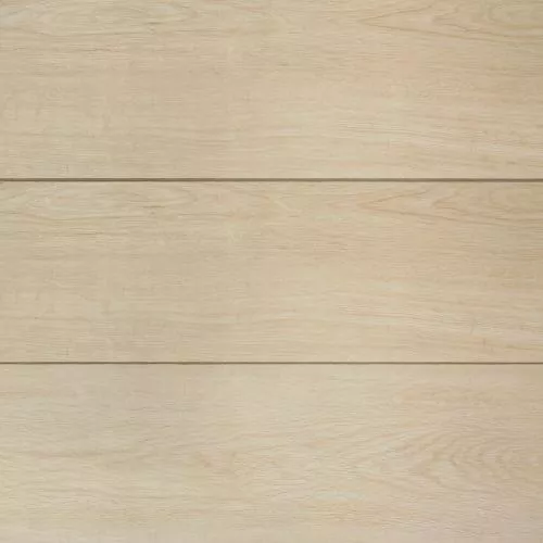 20 Дуб Секвоя