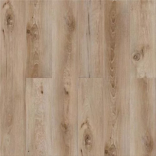 А 104 Дуб Москва