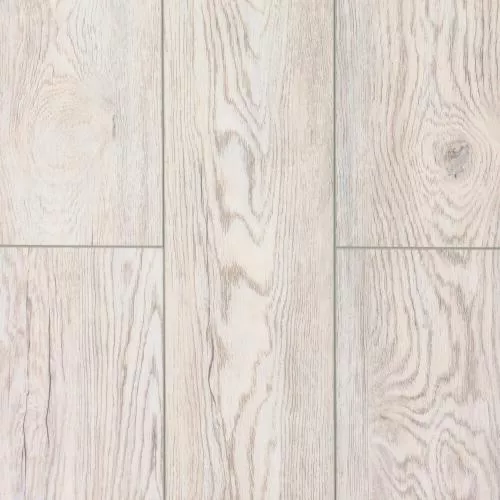  Дуб Каменный